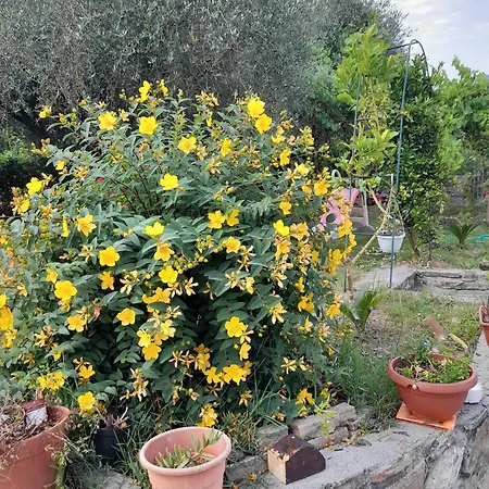 L'olivo Casa vacanze