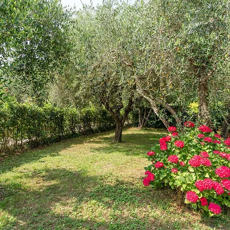 Holiday home L'olivo Capannori