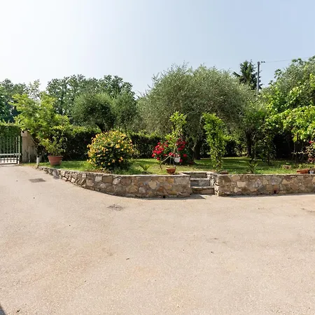 L'olivo Tatil Evi