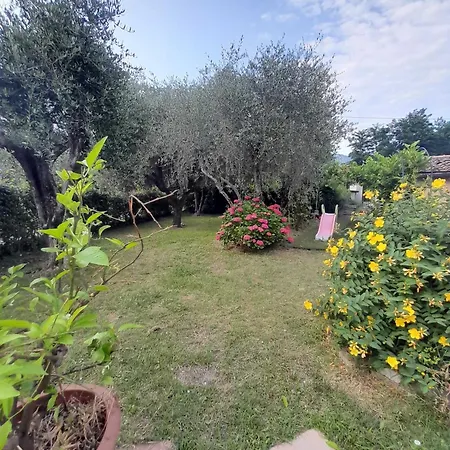 L'olivo Tatil Evi Capannori