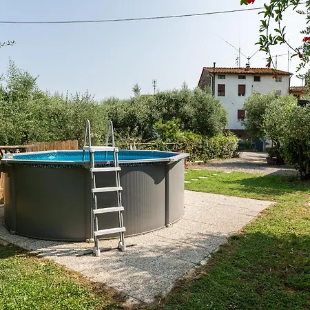 L'olivo * Capannori